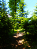 Parcours de santé de Choisy