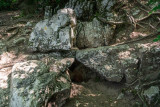 Grotte du Curé