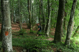 Sentier Combe à la Biche