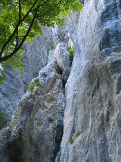 Mur d'escalade