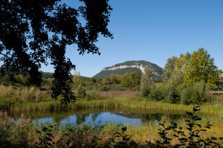marais Poisy
