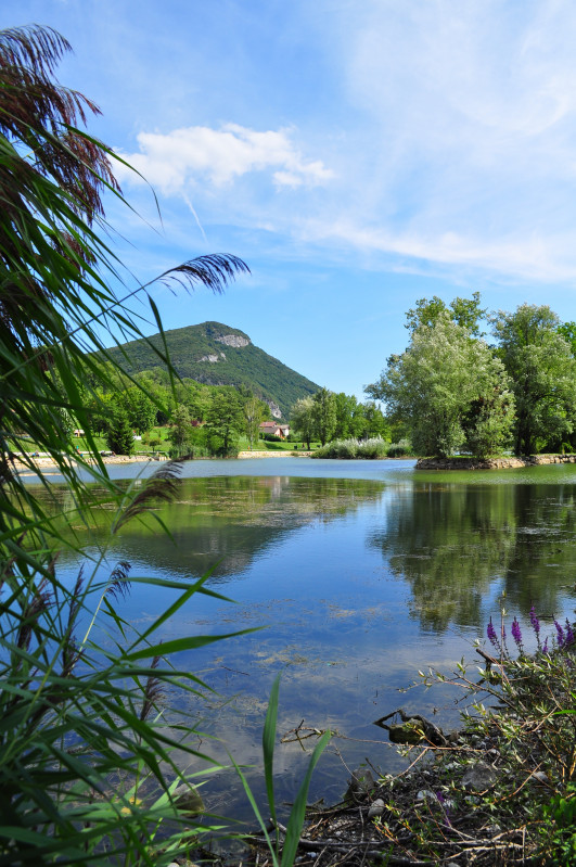 Pêche au lac de La Balme de Sillingy