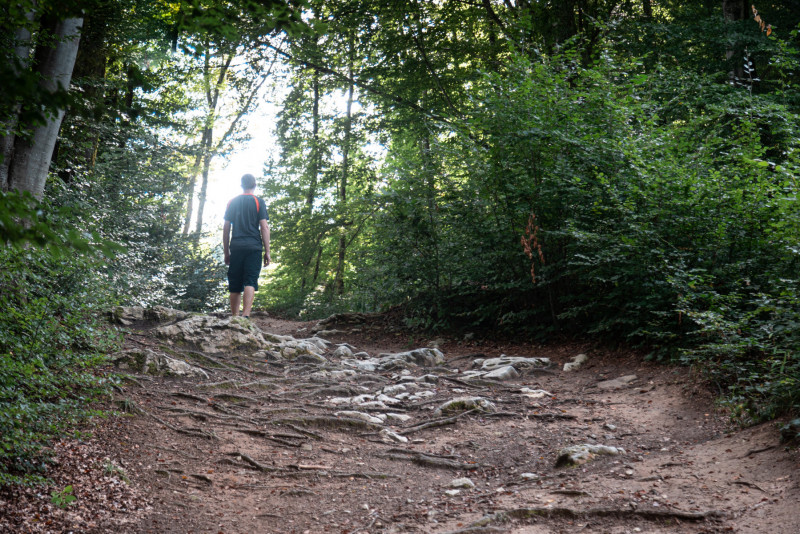 Sentier Clef des faux