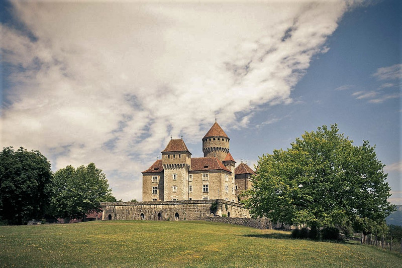 Domaine et Château de Montrottier