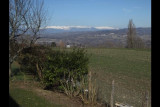 Vue de la cuisine