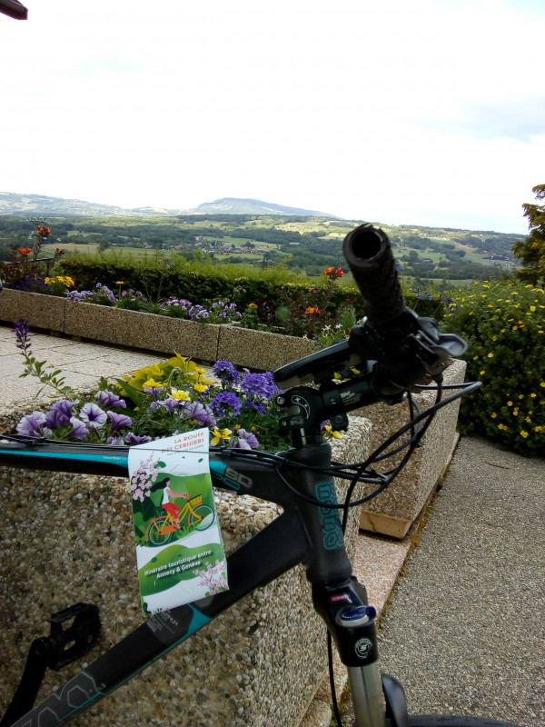 Vélo - Route des Cerisiers